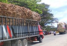 NegOcc mills to reopen amid sugar shortage fears Cane trucks on way to sugar mills in the northern part of Negros Occidental. The Sugar Regulatory Administration on Tuesday said the industry is doing well despite the coronavirus pandemic. PNA BACOLOD FILE PHOTO
