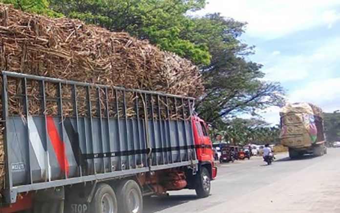 Cane trucks on way to sugar mills in the northern part of Negros Occidental. The Sugar Regulatory Administration on Tuesday said the industry is doing well despite the coronavirus pandemic. PNA BACOLOD FILE PHOTOr Cane trucks on way to sugar mills in the northern part of Negros Occidental. The Sugar Regulatory Administration on Tuesday said the industry is doing well despite the coronavirus pandemic. PNA BACOLOD FILE PHOTO