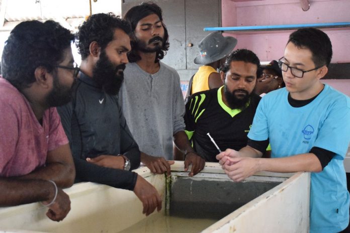 Peter Palma (rightmost) demonstrates the process of inducing fish to spawn using injected hormones to a group of trainees from Maldives at a research station of the Southeast Asian Fisheries Development Center in Nueva Valencia, Guimaras. PHOTO BY SEAFDEC/AQD