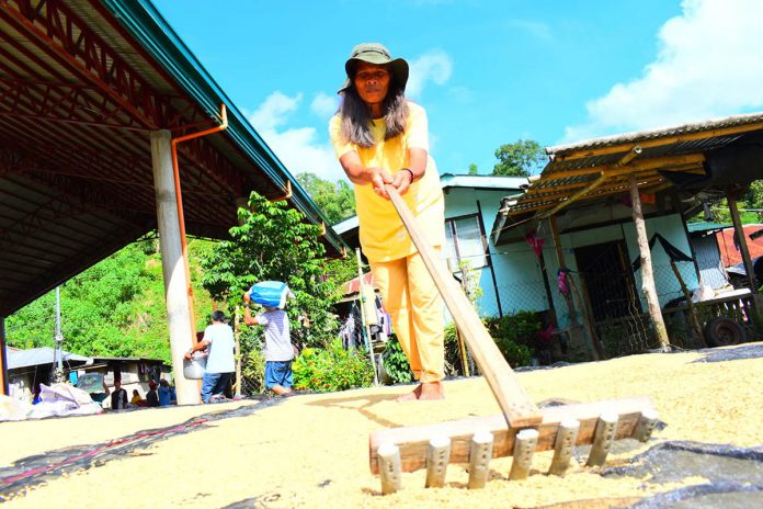 Farmers from Camandag, Leon, Iloilo experienced favorable weather to sun-dry their palay after days of rainfall brought about by Typhoon Ulysses in this photo taken on Nov. 13, 2020. DA WESTERN VISAYAS Farmers from Camandag, Leon, Iloilo experienced favorable weather to sun-dry their palay after days of rainfall brought about by Typhoon Ulysses in this photo taken on Nov. 13, 2020. DA WESTERN VISAYAS