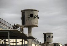 Egypt human rights members released AFP