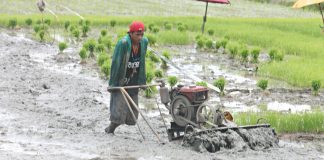 Only 20 percent of rice farmers owning eight hectares or less have availed themselves of the Free Irrigation Service Act in Aklan. PHOTO FROM AKEANFORUMBLOGSPOT.COM
