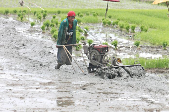 region aklan farmers Only 20 percent of rice farmers owning eight hectares or less have availed themselves of the Free Irrigation Service Act in Aklan. PHOTO FROM AKEANFORUMBLOGSPOT.COM
