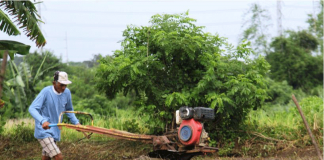 Using a hand tractor, a farmer prepares his land in Imus, Cavite. An agricultural group has urged the government to vaccinate around 11 million farmers against COVID-19 using funds from its collection of deboned meat tariff. PHOTO COURTESY OF PNA