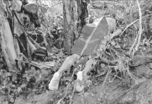 River yields dead man Drowning victim Ropuerto Untal lies dead at the riverbank in Barangay Lopez Jaena, Murcia, Negros Occidental on Jan. 17. POLICE LIEUTENANT JOHN PAUL TABUJARA