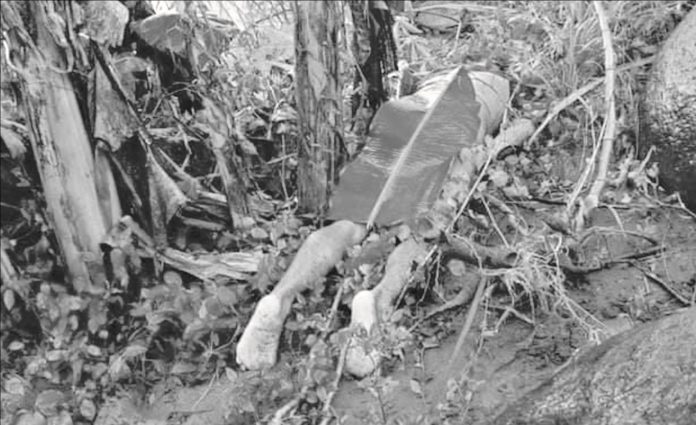 Drowning victim Ropuerto Untal lies dead at the riverbank in Barangay Lopez Jaena, Murcia, Negros Occidental on Jan. 17. POLICE LIEUTENANT JOHN PAUL TABUJARA
