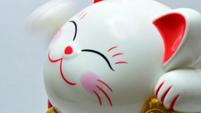 kitty