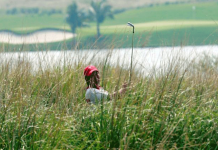 Thai minister proposes ‘golf quarantine’ to boost tourism Asia’s Hideto Tanihara of Japan hits the ball on the fourth hole during the second day of foursomes competition against Europe at the Royal Trophy golf tournament in Chonburi province, near Bangkok, January 10, 2009. SUKREE SUKPLANG, REUTERS /FILE PHOTO