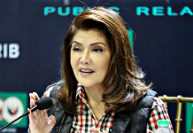 For Sen. Imee Marcos, the Department of Agriculture’s importation means “slaughter” of local hog raisers. GMA NEWS