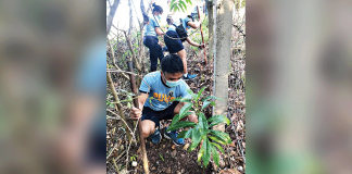 Personnel of the police station of Nueva Valencia, Guimaras plant tree seedlings as a pre-Valentine’s Day activity on Feb. 13 – their way of expressing love to Mother Earth. PHOTOS BY NUEVA VALENCIA MUNICIPAL POLICE STATION