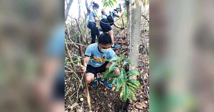guimaras-seeds Personnel of the police station of Nueva Valencia, Guimaras plant tree seedlings as a pre-Valentine’s Day activity on Feb. 13 – their way of expressing love to Mother Earth. PHOTOS BY NUEVA VALENCIA MUNICIPAL POLICE STATION