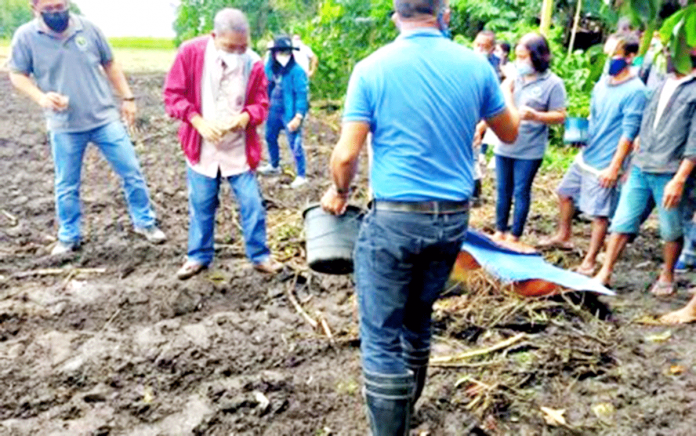 negros Officials of the Department of Agriculture and La Carlota City government in Negros Occidental with farmers of Hacienda Esperanza Communal Agrarian Reform Beneficiaries Association witness the launching of sugarcane-rice cropping system project in Barangay Nagasi, La Carlota City on Feb. 3. PNA