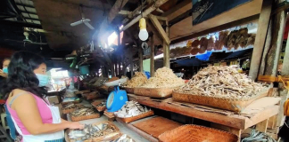 Wearing facemask, this vendor tends to her dried fish products inside the public market of Passi City. After two days of lockdown due to a surge in coronavirus cases, the public market reopened on Jan. 31. PASSI CITY LGU