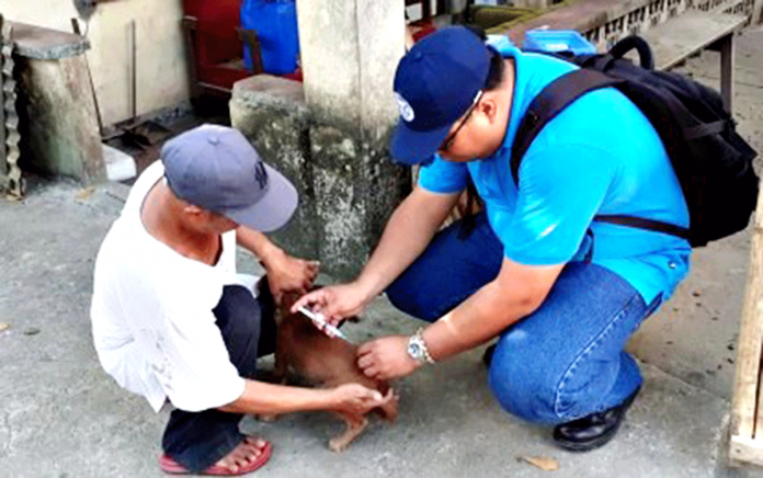 region-antique-vet RABIES PREVENTION . Dr. Marco Rafael Ardamil of Antique’s Provincial Veterinary Office (PVO) vaccinates a dog. Having their dogs vaccinated is part of the owners’ responsibility, he stresses. PHOTO COURTESY OF PROVET ANTIQUE