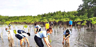 Personnel of the police station of Nueva Valencia, Guimaras plant mangrove propagules along the coast of the town’s seaside barangay of La Paz. Mangroves are home to a large variety of fish, crab, shrimp, and mollusk species. These fisheries form an essential source of food for coastal communities. PHOTO BY THE NUEVA VALENCIA POLICE STATION