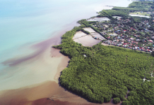 San Carlos mayor denies SCBI’s plea to resume ops This drone shot from shows water discoloration of the coastline in Sitio Maloloy-on, Barangay Punao, San Carlos City, Negros Occidental. SAN CARLOS CITY GOV’T