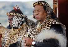 Zulu’s King Goodwill Zwelithini dies