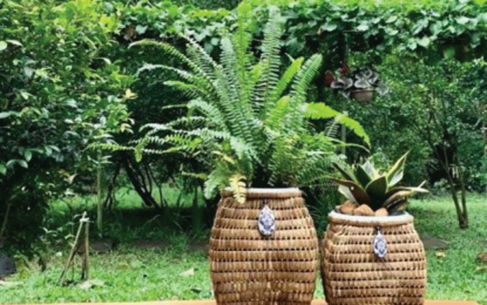 Woven planters made by Artisana Island Crafts, one of the seven producers from Negros Occidental participating in the ongoing 2nd Virtual Philconstruct Show VX 2021. Seven Negrense handicraft producers are taking part in the event which opened on Wednesday and will run until March 30. CONTRIBUTED PHOTO