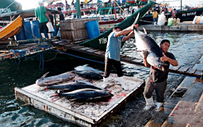 Philippine-exports-will-continue Workers unload their tuna catch at the fish port complex. In 2020, tuna is one of the country’s top export products to the United Kingdom. PNA FILE PHOTO BY EDWIN ESPEJO