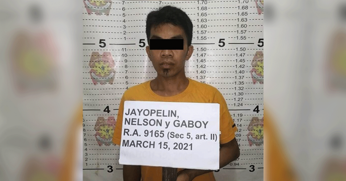 buenavista-wanted JAYOPELIN