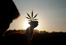 Mexico’s Congress OKs landmark cannabis bill