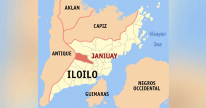 janiuay