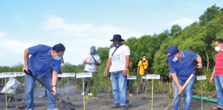 MANGROVE PLANTING. Gov. Arthur Defensor Jr. (left) and Mayor Carlos Cabangal Jr. (right) lead the mangrove planting activity in Barangay Alacaygan, Banate, Iloilo. About 500 mangrove propagules of the bungalon species were planted in celebration of the World Water Day. BALITA HALIN SA KAPITOLYO