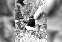 Senior citizen peppered with bullets A senior citizen lies dead after a shooting incident in Barangay Ani-e, Calatrava, Negros Occidental on March 17. CALATRAVA PNP