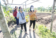 VP Leni visits Iloilo programs, projects Vice President Leni Robredo meets with members of the Oton Farmers Producers Cooperative in Oton, Iloilo. They are recipients of mechanized farming equipment from the Office of the Vice President.