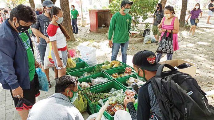 In Molo, Iloilo City, residents buy fresh vegetables from farmers of Tubungan and Lambunao, Iloilo. Department of Agriculture secretary William Dar says vegetable prices drop at an average of 50 percent. DA-WESTERN VISAYAS In Molo, Iloilo City, residents buy fresh vegetables from farmers of Tubungan and Lambunao, Iloilo. Department of Agriculture secretary William Dar says vegetable prices drop at an average of 50 percent. DA-WESTERN VISAYAS