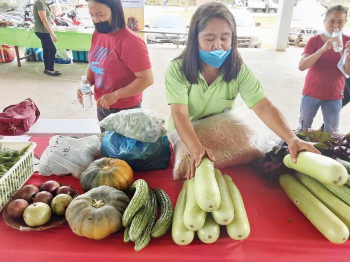 Business-1-banner Wearing facemask, this woman displays vegetable products during the launching of KADIWA ni Ani at Kita market in Jordan, Guimaras, April 6. KADIWA market aims to help poor Filipinos in coping with the effects of pandemic. JEEOGATIS/DA-RAFIS-6