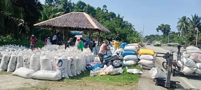 Business-3 A total of 433 bags of clean and dry palay from farmers of Barangay Baybay and Barangay Tamalagon in the municipality of Tangalan, Aklan were procured by the Aklan Mobile Procurement Team on April 8. NFA-CAPIZ BRANCH