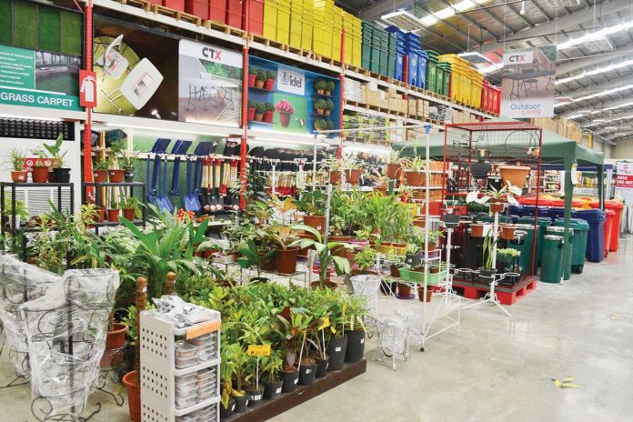 Citihardware-Plants