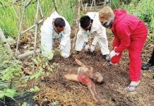 Man found dead in Mansilingan Authorities secure the body of a man who was allegedly hacked to death in CarmenVille Subdivision, Barangay Mansilingan, Bacolod City yesterday. POLICE STATION 7