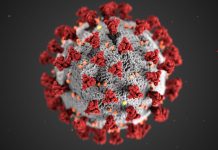 No COVID-19 new variant detected in WV – DOH 6