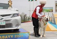 In Turkmenistan, the Alabay dog is a symbol of national pride. A national holiday honors this very special breed of dog. REUTERS