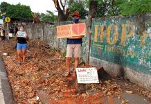CENRO ‘ready’ to answer raps over controversial cutting of Bacolod trees Photo courtesy of Rhoderick Samonte