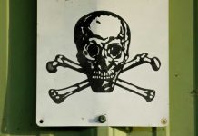 ‘Poison’ downs laborer Photo courtesy of Matthew T Rader/ UNSPLASH