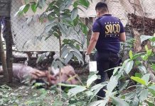 Pototan house garage yields dead couple; electrocution seen as cause of death A couple was found dead on April 27, 2021 in their house’s garage in Barangay Batuan, Pototan, Iloilo. Police are looking into electrocution as cause of death. JAP FAJARDO/PN
