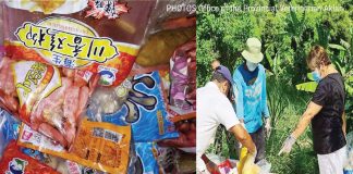 Almost 730 kilos of recovered pork products from Luzon were disposed in Aklan’s stock farm in Barangay Tina, Makato town.