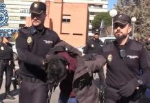 Photo courtesy of the Spanish Police