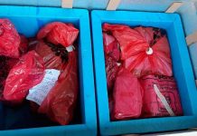 The vaccine doses sit in boxes ready to be burned on Wednesday. BBC