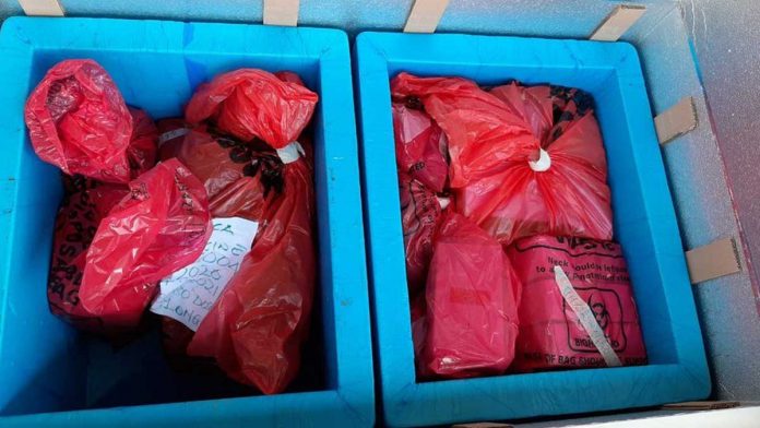 doses-to-be-burned The vaccine doses sit in boxes ready to be burned on Wednesday. BBC