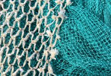 Bantay Dagat nets ‘illegal fishers’ Photo by Waldemar Brandt on Unsplash