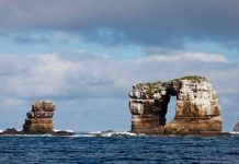 The waters around the arch are considered a premier diving location. In a report, the Ecuadoran Ministry of Environment says the arch collapsed due to natural erosion. GETTY IMAGES