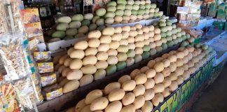 Mangoes are being displayed at a stall in Jordan, Guimaras. Mango growers say they had to slow down production amid the coronavirus pandemic. JAPHET FAJARDO/PN