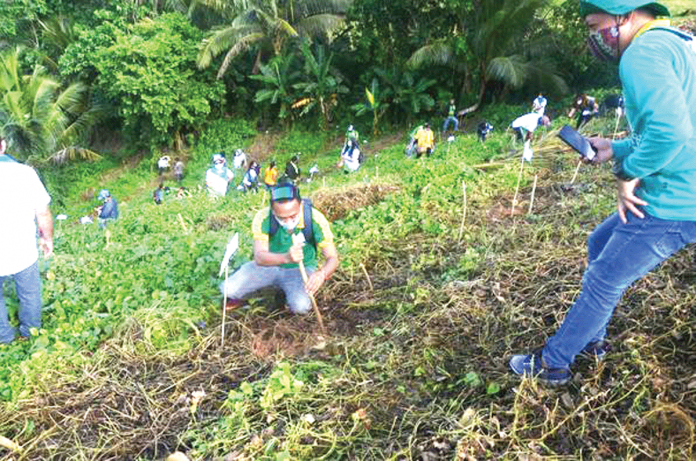 planting An advocate joins Tanum Iloilo, a provincewide tree growing project, in Barangay Dapdapan, Lemery, Iloilo. The Department of Environment and Natural Resources in Region 6 is encouraging the public to plant native or endemic tree species and fruit bearing trees. BALITA HALIN SA KAPITOLYO