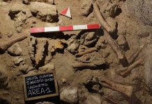 Neanderthal bones are discovered in a cave south of Rome. ITALIAN CULTURE MINISTRY/AFP/GETTY