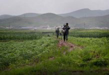 ‘North Korea faces food shortages’ Photo courtesy of Associated Press
