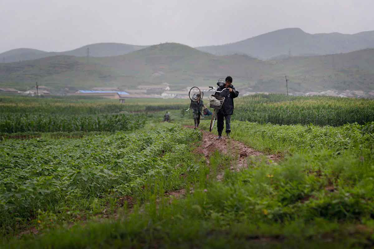 ‘North Korea faces food shortages’
